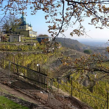 Fiedler Radebeul
